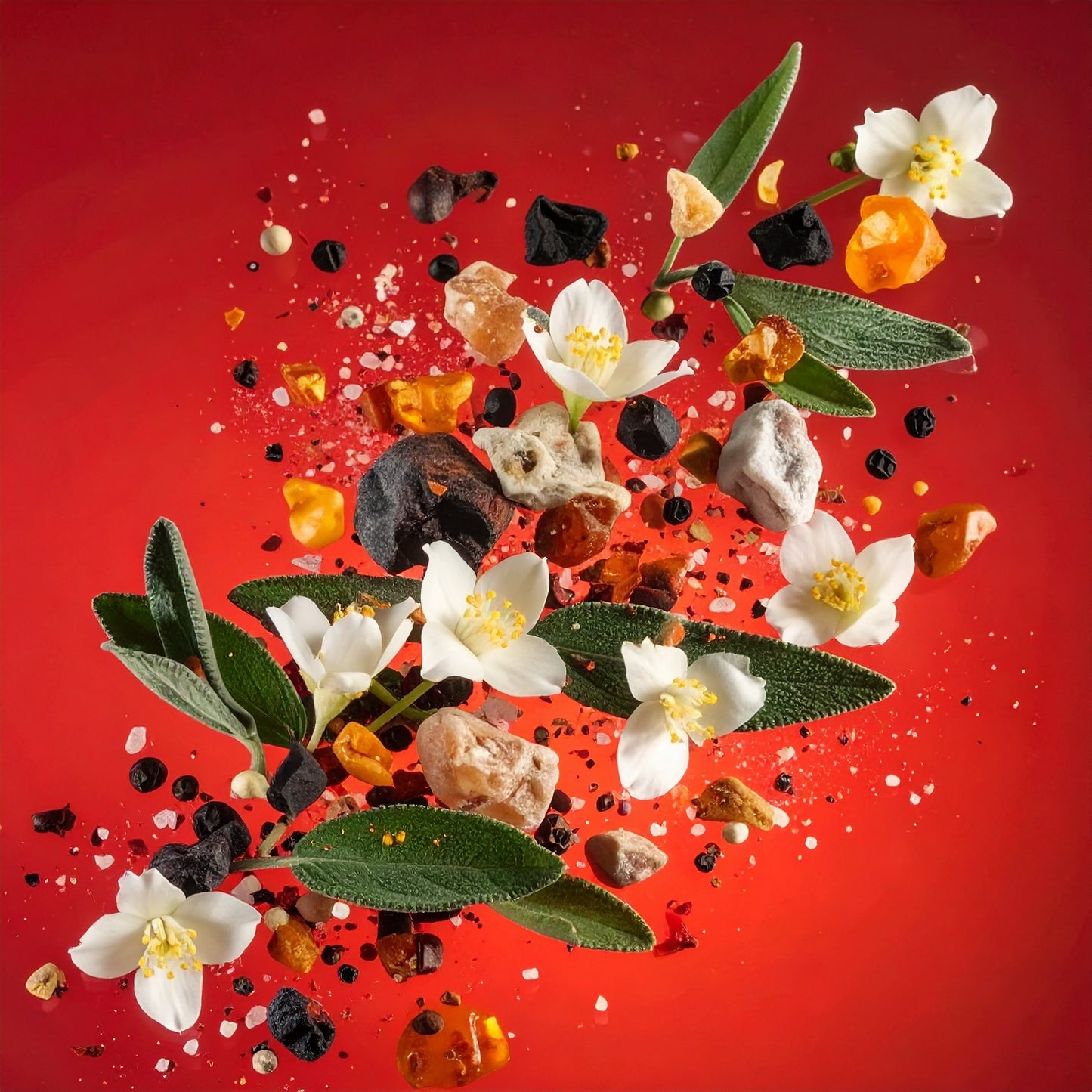 Jasmin Royale