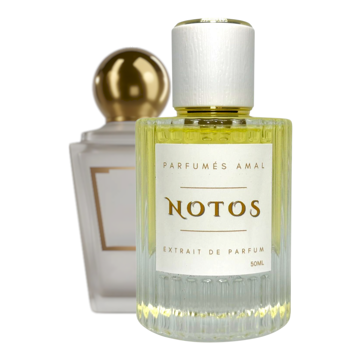 Notos